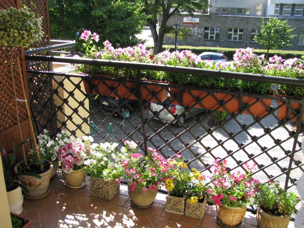 Patio Mare Amber Apartment Sopot Exterior photo